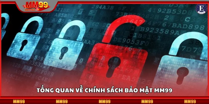 Tổng quan về chính sách bảo mật MM99